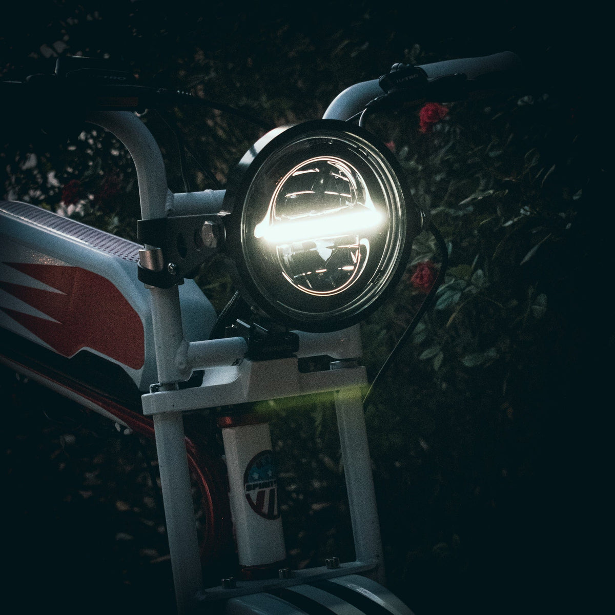 ZX COMPLETE LIGHT KIT BRAKES / SIGNALS / HEADLIGHT – Custom-Ebike
