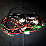 LIGHTING HARNESS WITH 72v to 12V CONVERTER
