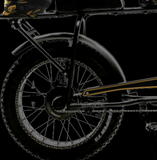 RONIN