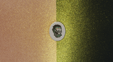Finkster Green Pearl