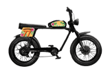 TROPICAL PUNCH DECALS