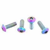 OIL SLICK TITANIUM Water Bottle Cage Bolts by Wolf Tooth
