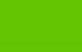 Sublime Green Basecoat